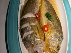 -寻宝记绍兴菜(状元店)