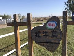 -敕勒川草原文化旅游区