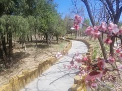 -白水寺森林公园
