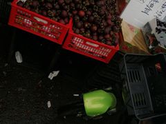-红星农博物流中心