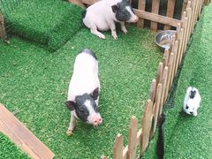 -大族广场Mall&More