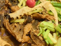 -老板恋上鱼(高新万达店)