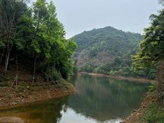 -广州市石门国家森林公园