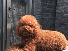 -北京美神宫艺术主题温泉酒店