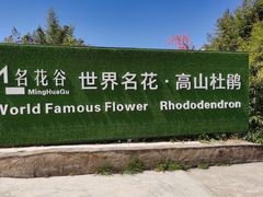 -名花谷生态庄园