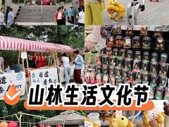 -阳台山自然风景区