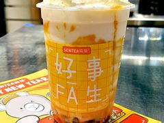 -森茶(湛江万达店)