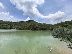 -广州白江湖森林公园