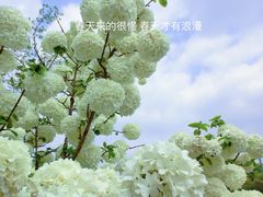 -院士公园