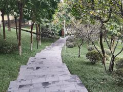 -龙头寺公园