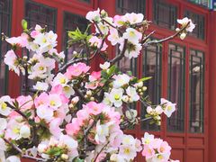 -陶然亭公园