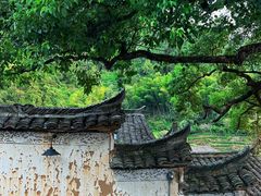 -杨家堂村