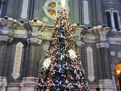 -王府井天主教堂