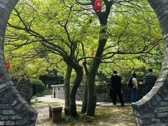 -朴园