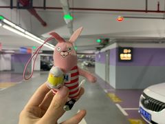 -上海浦东国际机场T1航站楼-P1停车场