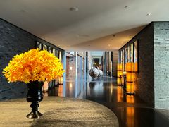 -三亚太阳湾柏悦酒店