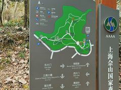 -上海佘山国家森林公园天马山园