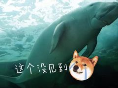 -悉尼海洋生物水族馆