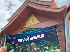 -西双版纳原始森林公园