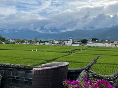 -喜林苑·稻田餐厅(品相府店)
