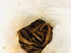 -张鸭子重庆特产卤味小吃(未来国际店)