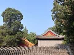 -颐和园