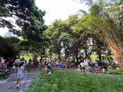 -成都市活水公园