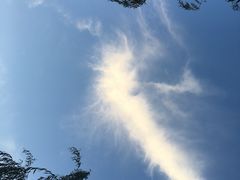 -秀丽东方