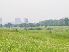 -洋湖国家湿地公园
