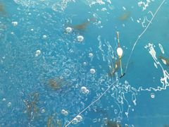 -SHRIMP CLUB万东餐饮钓虾·清吧