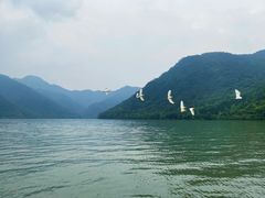 -严子陵钓台(富春江小三峡)