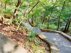 -大岭沟猕猴桃谷风景区