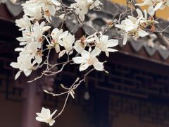 -龙华寺