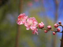 -颐和园