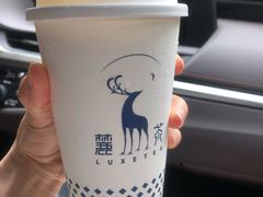 -麓茶