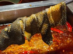 -二荆条·蜀鲜汇城市森林火锅