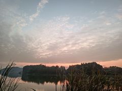 -东湖落雁景区