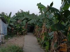 -黄埔古港