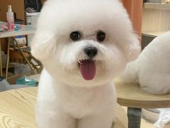 -守诺宠物医院·眼科· 特色牙科·异宠专科(虹口店)
