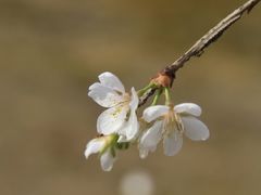 -白塘生态植物园