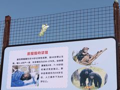 -南昌动物园