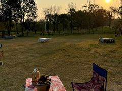 -白鹭湾湿地公园