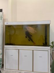 -FUMEIHUI·科技美肤·美体SPA