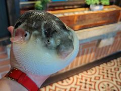 -永安鱼庄·镇江菜(丁卯店)