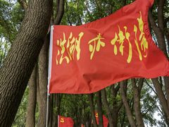 -洪湖生态旅游区