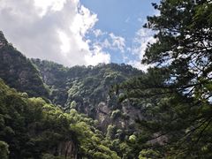 -青峰峡国家森林公园