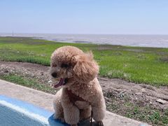 -南汇嘴观海公园