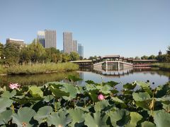 -西海子公园