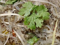-阿记烧烤(大兴新区店)