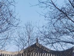 -洛阳白马寺